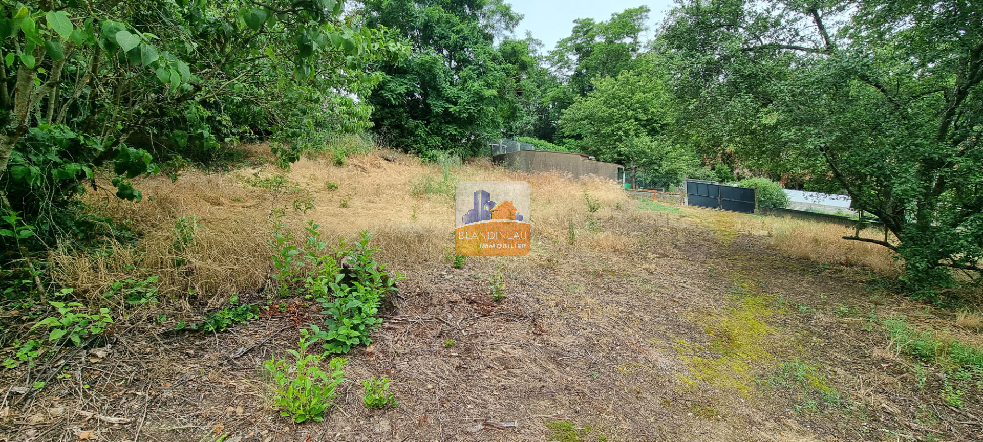 TERRAIN à ST JEAN DE BOISEAU