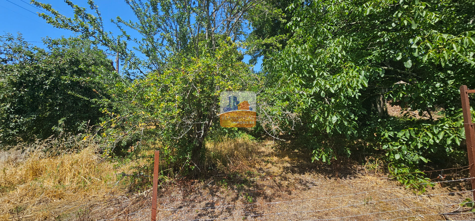 TERRAIN à ST JEAN DE BOISEAU