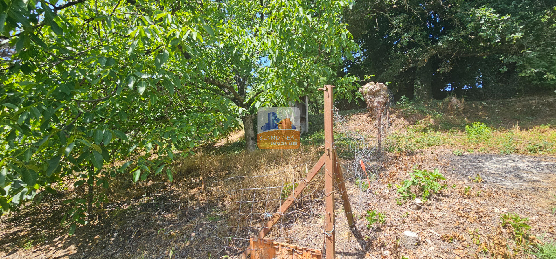 Image TERRAIN à SAINT JEAN DE BOISEAU