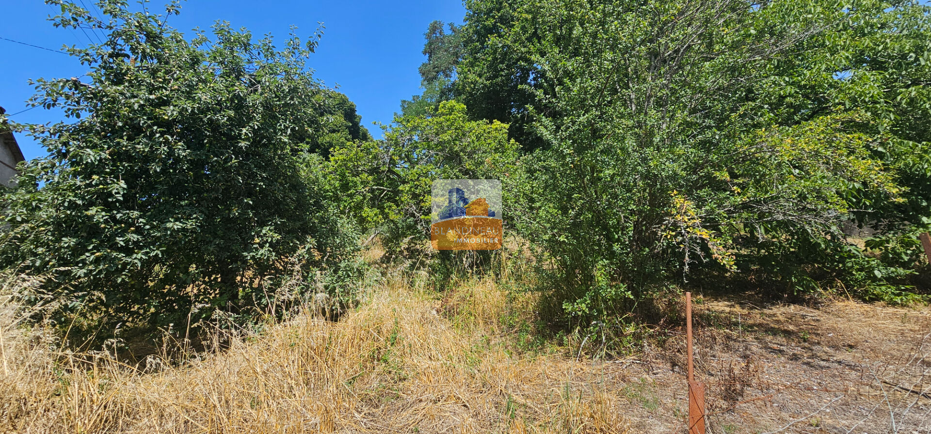 Image TERRAIN à SAINT JEAN DE BOISEAU